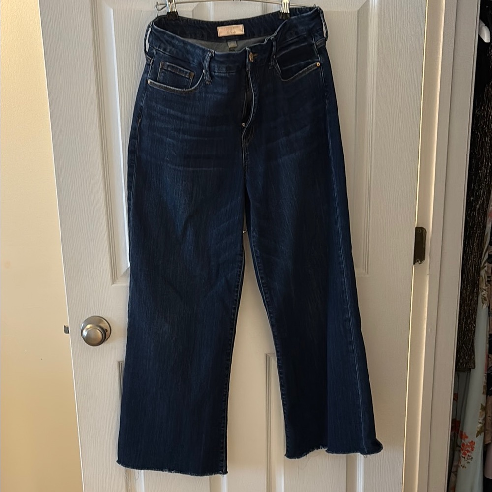 Kut from the Kloth MEG FAB AB Wide Leg Jeans